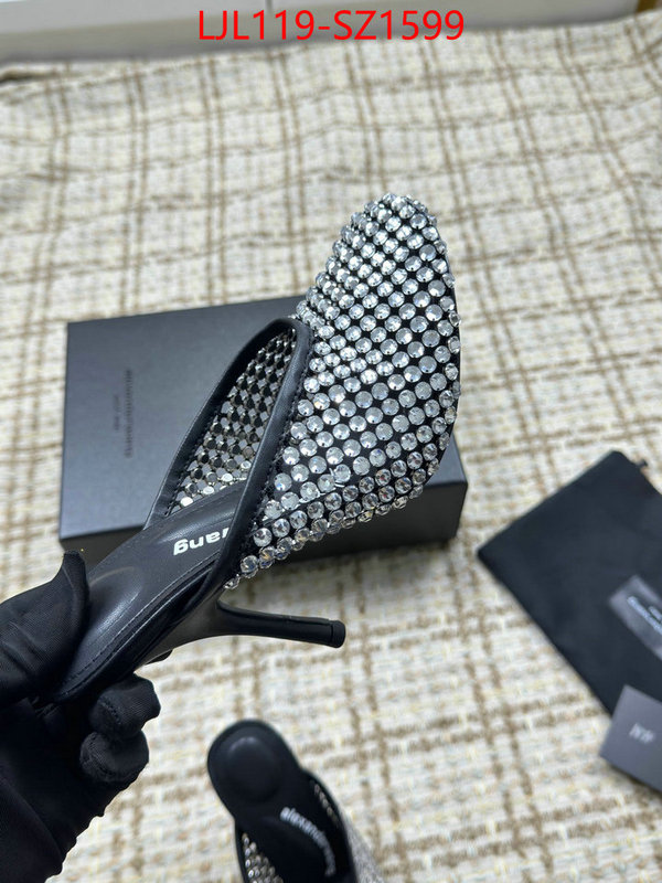Women Shoes-Alexander Wang what is top quality replica ID: SZ1599 $: 119USD