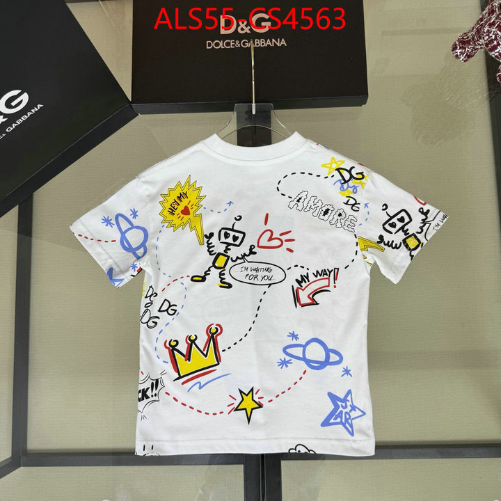 ID: CS4563