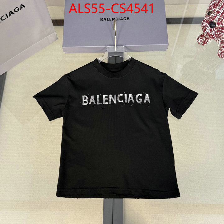 ID: CS4541