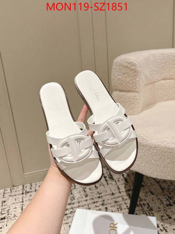 Women Shoes-Dior cheap replica designer ID: SZ1851 $: 119USD