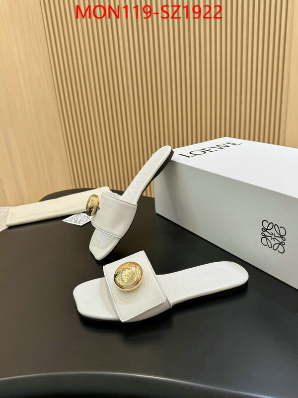 Women Shoes-Loewe new ID: SZ1922 $: 119USD