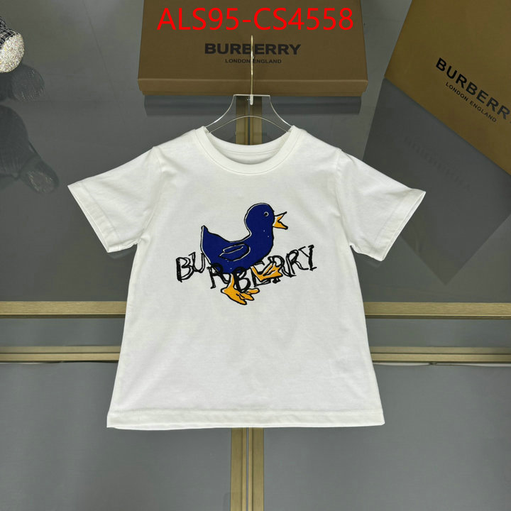 ID: CS4558