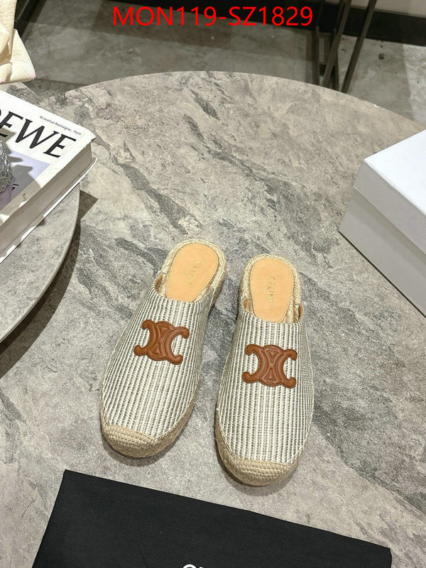 Women Shoes-CELINE what are the best replica ID: SZ1829 $: 119USD