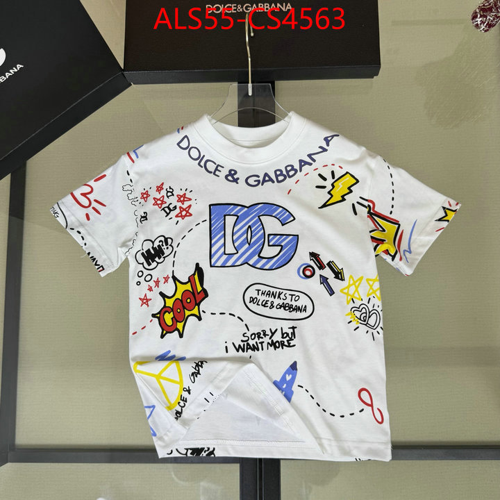 ID: CS4563