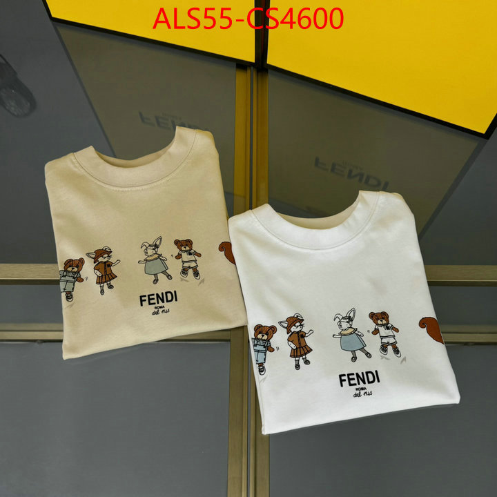 ID: CS4600