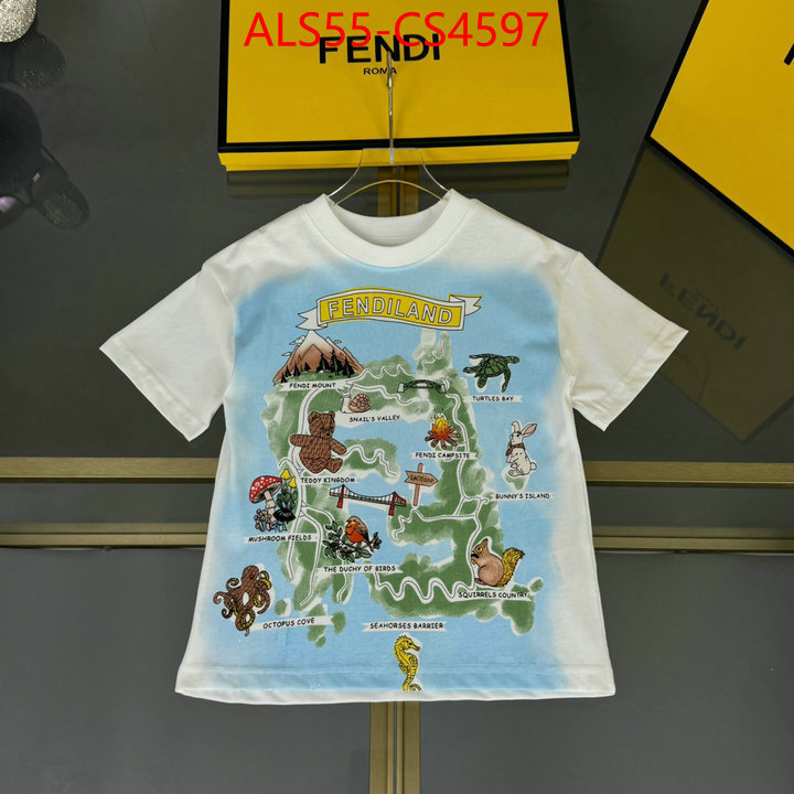 ID: CS4597