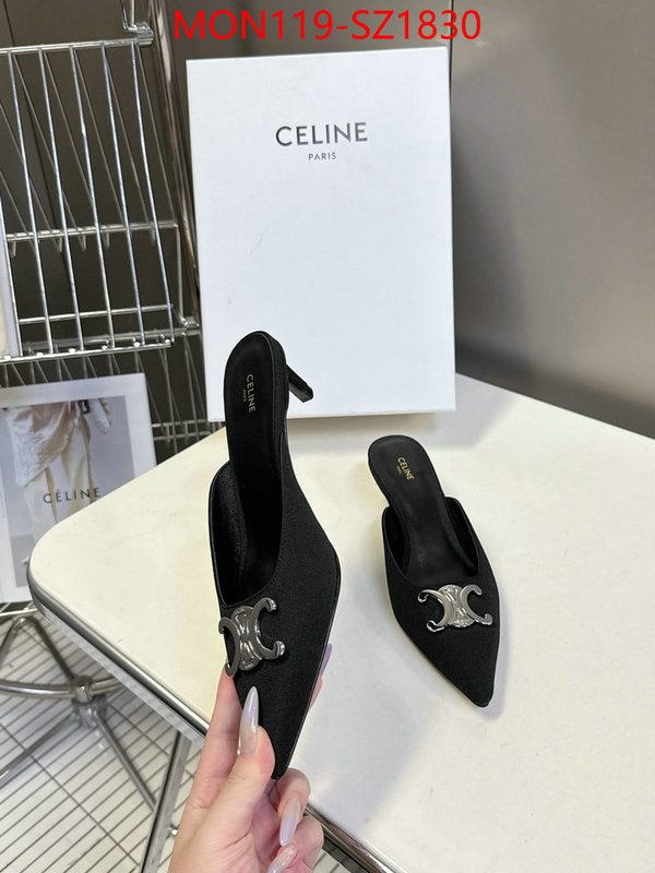 Women Shoes-CELINE sellers online ID: SZ1830 $: 119USD