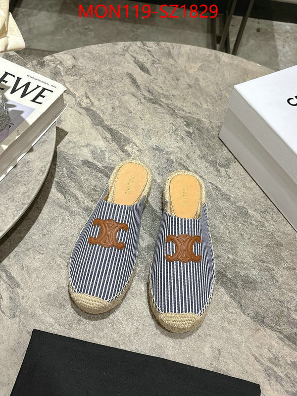 Women Shoes-CELINE what are the best replica ID: SZ1829 $: 119USD