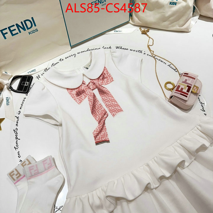 ID: CS4587
