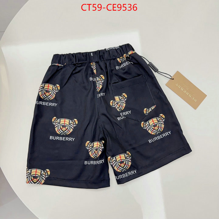 ID: CE9536