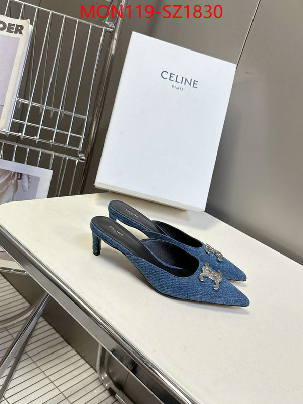 Women Shoes-CELINE sellers online ID: SZ1830 $: 119USD