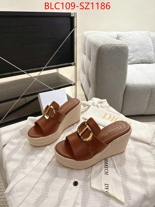Women Shoes-Dior where to find the best replicas ID: SZ1186 $: 109USD