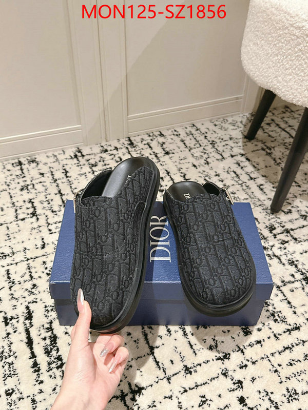 Men shoes-Dior top perfect fake ID: SZ1856 $: 125USD