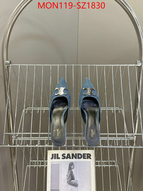 Women Shoes-CELINE sellers online ID: SZ1830 $: 119USD