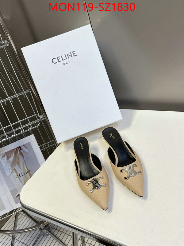 Women Shoes-CELINE sellers online ID: SZ1830 $: 119USD