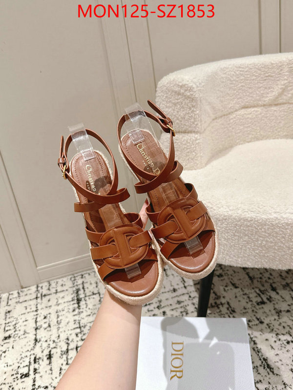 Women Shoes-Dior how to start selling replica ID: SZ1853 $: 125USD
