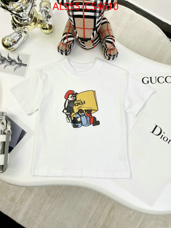 ID: CS4610