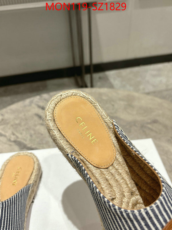 Women Shoes-CELINE what are the best replica ID: SZ1829 $: 119USD