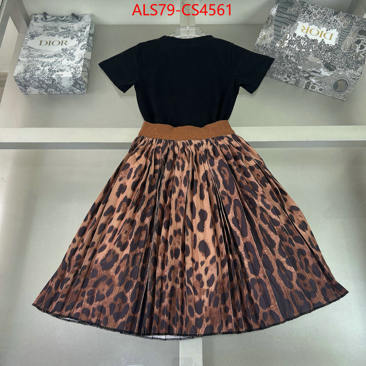 ID: CS4561