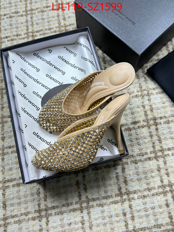 Women Shoes-Alexander Wang what is top quality replica ID: SZ1599 $: 119USD