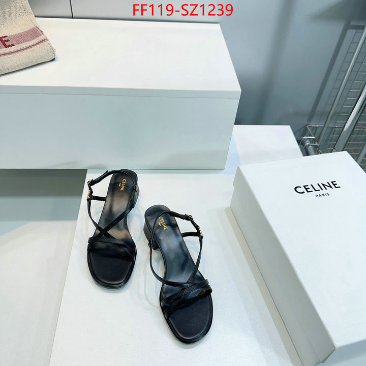 Women Shoes-CELINE aaaaa+ class replica ID: SZ1239 $: 119USD