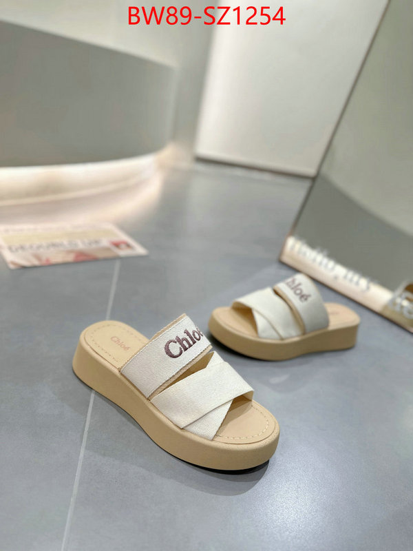 Women Shoes-Chloe shop ID: SZ1254 $: 89USD