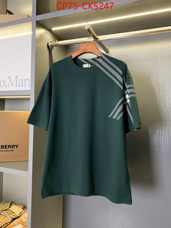 Clothing-Burberry aaaaa customize ID: CK5247 $: 75USD
