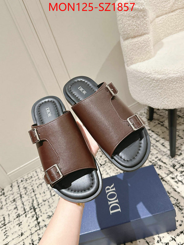 Men shoes-Dior top ID: SZ1857 $: 125USD