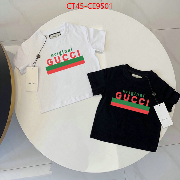 ID: CE9501