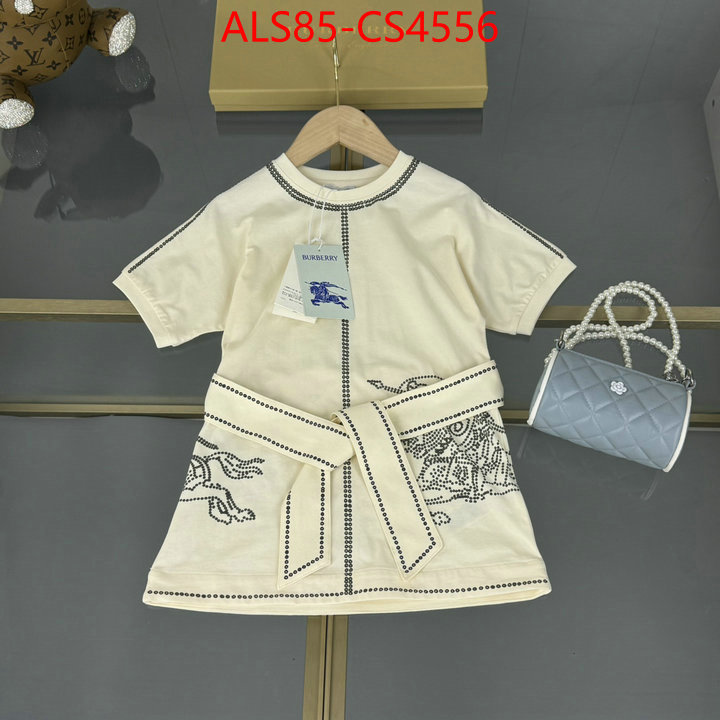 ID: CS4556