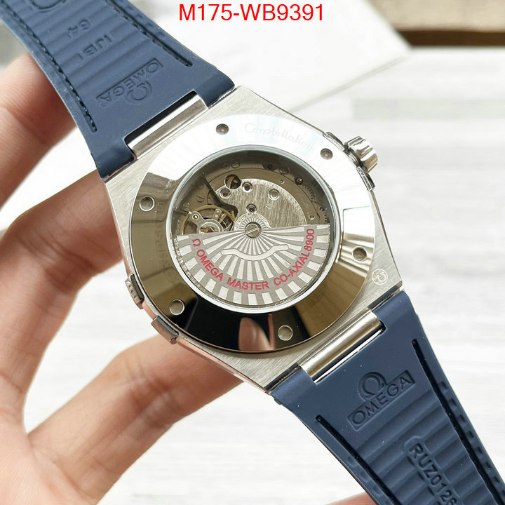 ID: WB9391