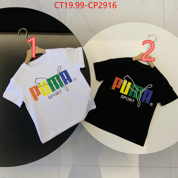 ID: CP2916