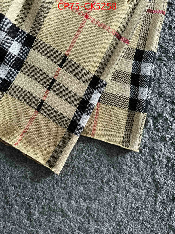 Clothing-Burberry perfect ID: CK5258 $: 75USD