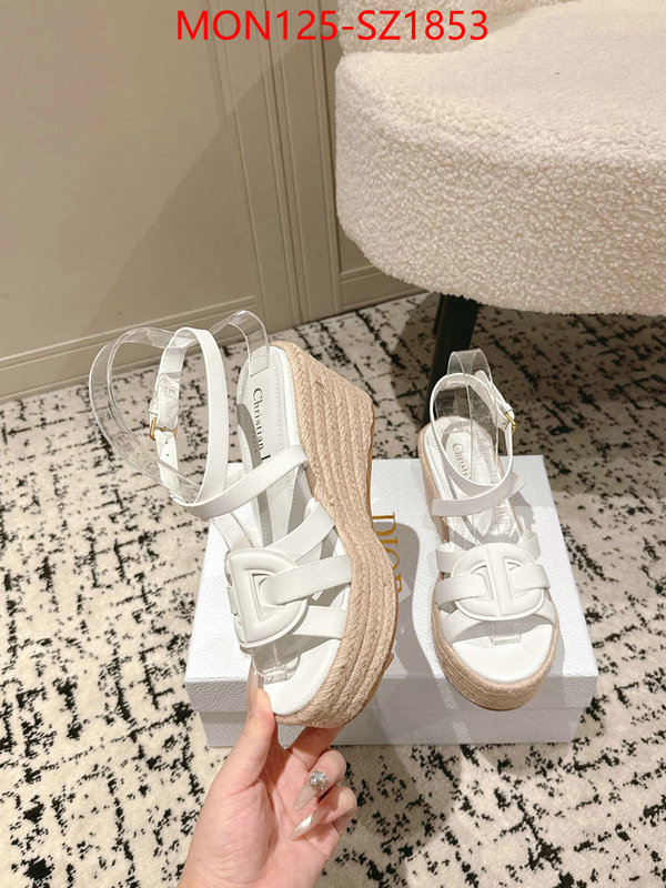 Women Shoes-Dior how to start selling replica ID: SZ1853 $: 125USD