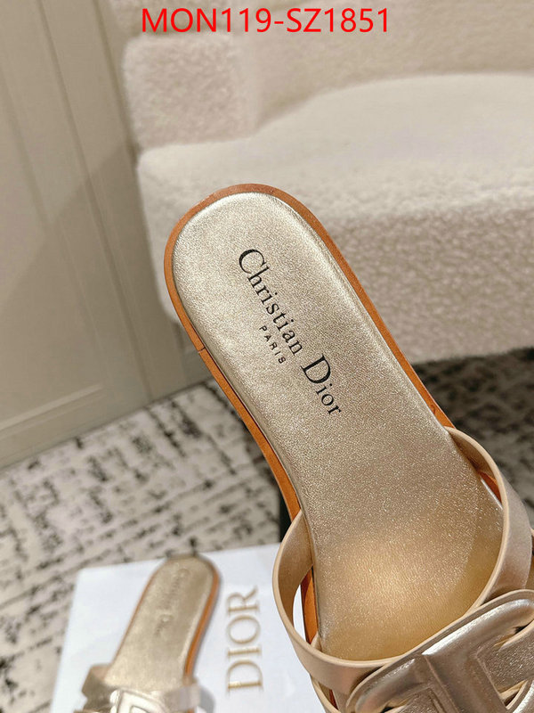 Women Shoes-Dior cheap replica designer ID: SZ1851 $: 119USD