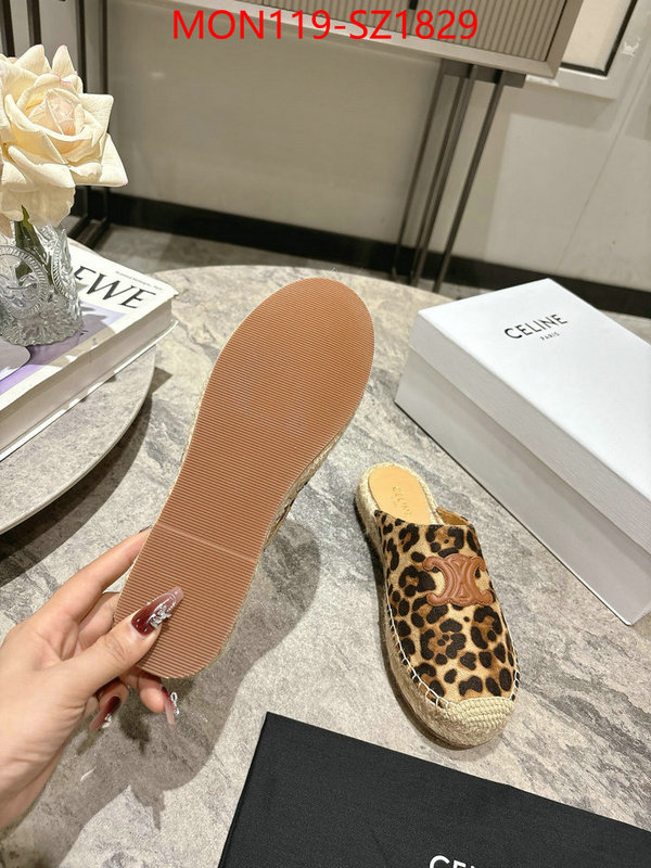 Women Shoes-CELINE what are the best replica ID: SZ1829 $: 119USD