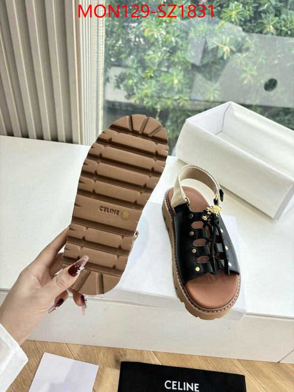 Women Shoes-CELINE supplier in china ID: SZ1831 $: 129USD