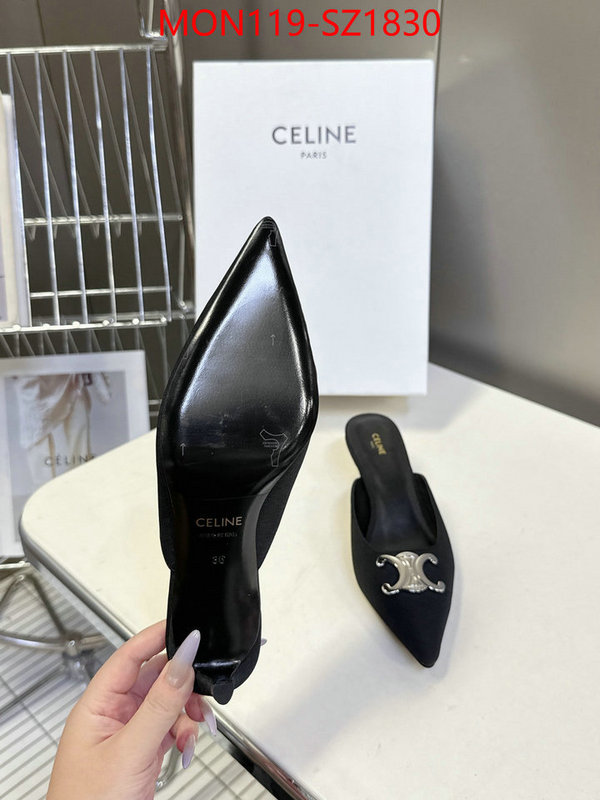 Women Shoes-CELINE sellers online ID: SZ1830 $: 119USD