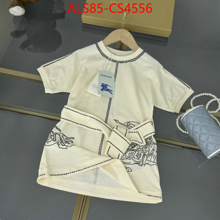 ID: CS4556