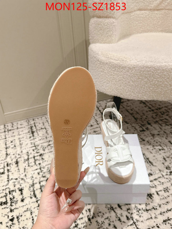Women Shoes-Dior how to start selling replica ID: SZ1853 $: 125USD