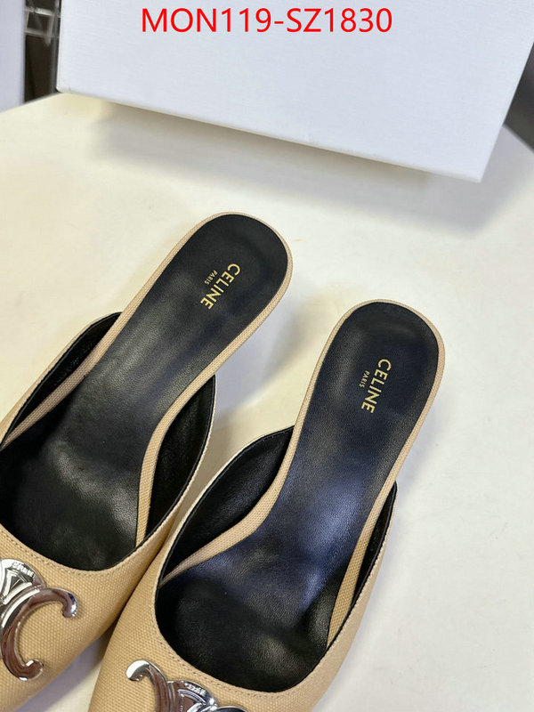 Women Shoes-CELINE sellers online ID: SZ1830 $: 119USD