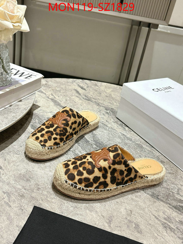 Women Shoes-CELINE what are the best replica ID: SZ1829 $: 119USD