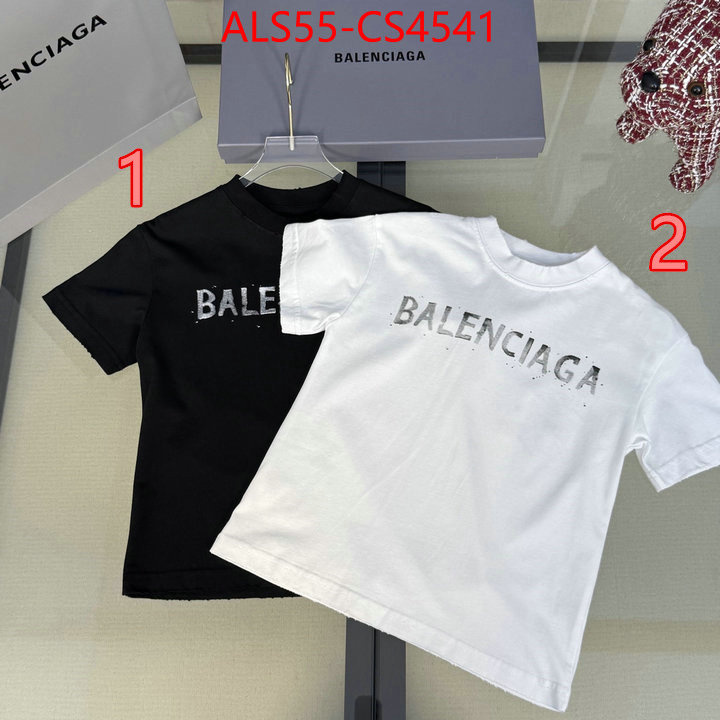ID: CS4541