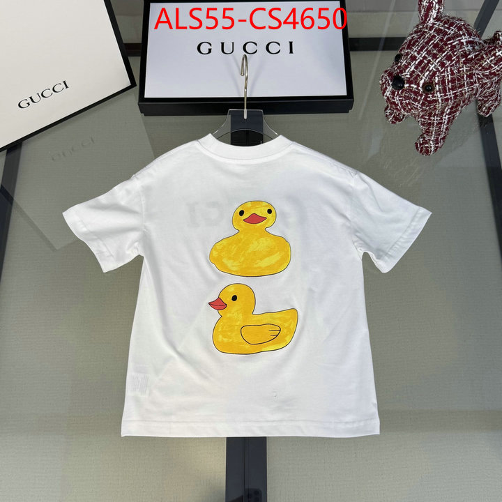 ID: CS4650