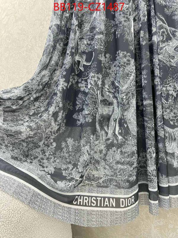 Clothing-Dior fashion designer ID: CZ1487 $: 119USD