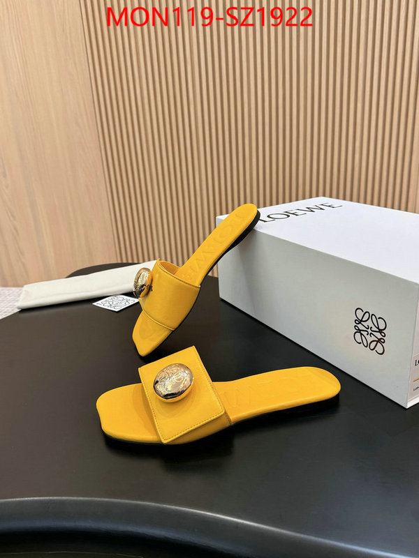 Women Shoes-Loewe new ID: SZ1922 $: 119USD