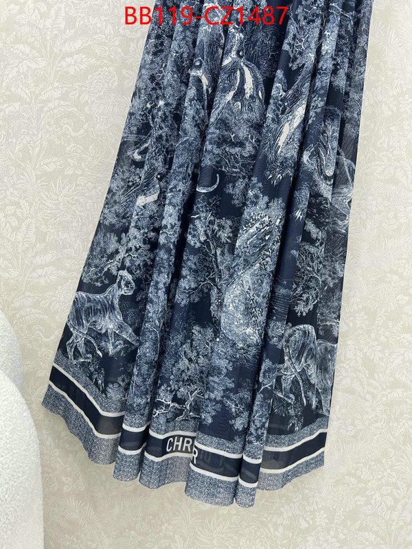 Clothing-Dior fashion designer ID: CZ1487 $: 119USD