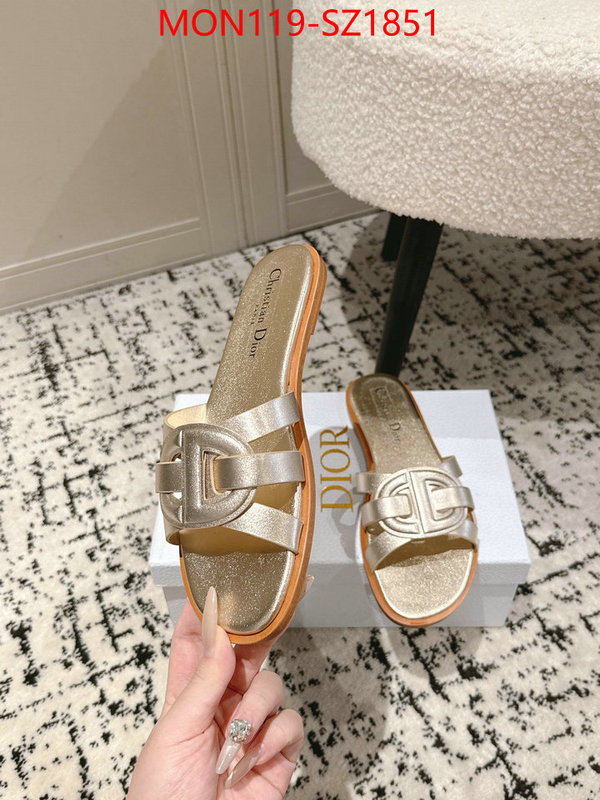 Women Shoes-Dior cheap replica designer ID: SZ1851 $: 119USD