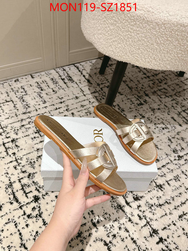 Women Shoes-Dior cheap replica designer ID: SZ1851 $: 119USD