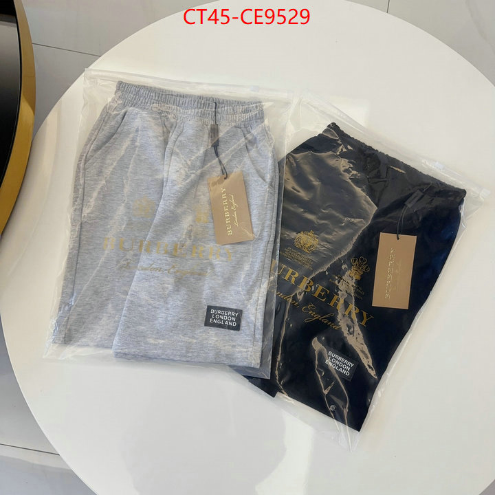 ID: CE9529